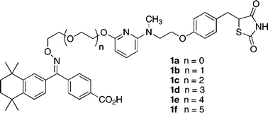 Graphical abstract: The synthesis of tethered ligand dimers for PPARγ–RXR protein heterodimers