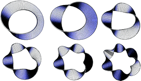 Graphical abstract: Aromaticity rules for cycles with arbitrary numbers of half-twists
