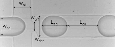 Graphical abstract: On-line laser Raman spectroscopic probing of droplets engineered in microfluidic devices