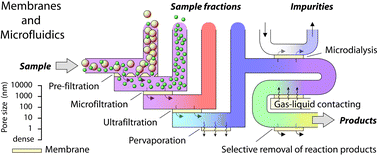 Graphical abstract: Membranes and microfluidics: a review