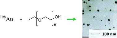 Graphical abstract: A green method for synthesis of radioactive gold nanoparticles