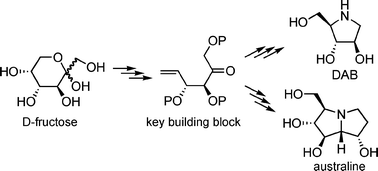 Graphical abstract: Synthesis of naturally occurring iminosugars from d-fructose by the use of a zinc-mediated fragmentation reaction
