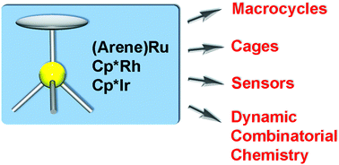Graphical abstract: Supramolecular chemistry with organometallic half-sandwich complexes