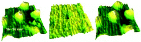 Graphical abstract: Unravelling single metalloprotein electron transfer by scanning probe techniques