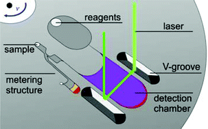 Graphical abstract: Fully integrated whole blood testing by real-time absorption measurement on a centrifugal platform
