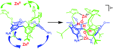 Graphical abstract: Encapsulation of a (H3O2)− unit in the aromatic core of a calix[6]arene closed by two Zn(ii) ions at the small and large rims