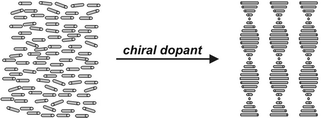 Graphical abstract: Amplification of chirality in liquid crystals