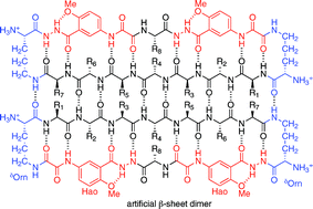 Graphical abstract: What I have learned by using chemical model systems to study biomolecular structure and interactions