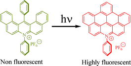 Graphical abstract: Simultaneous fluorescence and redox modulation in an irreversible photochrome based on a strained dibenzo-acridinium cation