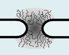 Graphical abstract: Nuclear pores and membrane holes: generic models for confined chains and entropic barriers in pore stabilization