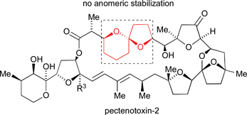 Graphical abstract: Synthetic studies towards the pectenotoxins: a review
