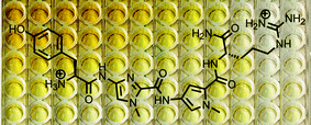 Graphical abstract: Discovery of G-quadruplex stabilizing ligands through direct ELISA of a one-bead-one-compound library