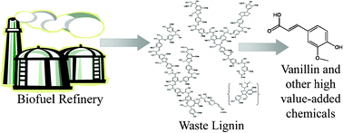 Graphical abstract: Tunable solvents for fine chemicals from the biorefinery