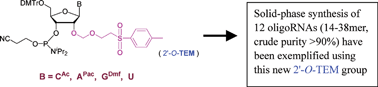 Graphical abstract: 2-(4-Tolylsulfonyl)ethoxymethyl (TEM)—a new 2′-OH protecting group for solid-supported RNA synthesis