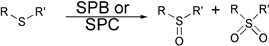 Graphical abstract: Green and chemoselective oxidation of sulfides with sodium perborate and sodium percarbonate: nucleophilic and electrophilic character of the oxidation system