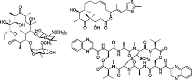 Graphical abstract: Robust platform for de novo production of heterologous polyketides and nonribosomal peptides in Escherichia coli