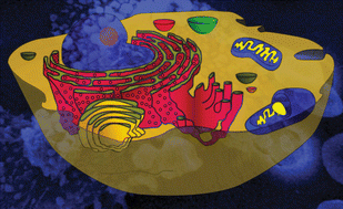 Graphical abstract: Cellular targets of natural products