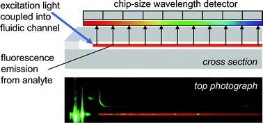 Graphical abstract: Fluorescence spectrometer-on-a-fluidic-chip
