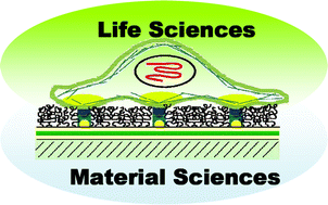 Graphical abstract: Cells and proteins at interfaces