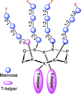 Graphical abstract: Novel template-assembled oligosaccharide clusters as epitope mimics for HIV-neutralizing antibody 2G12. Design, synthesis, and antibody binding study