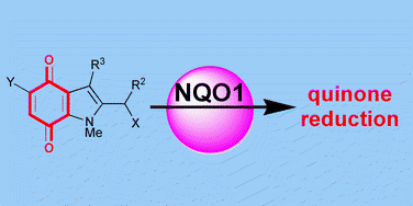 Graphical abstract: Indolequinone antitumour agents: correlation between quinone structure and rate of metabolism by recombinant human NAD(P)H:quinone oxidoreductase