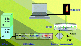 Graphical abstract: On line coupling HPLC and quartz surface-induced luminescence FPD with hydride generation and microporous membrane gas–liquid separator as interface for the speciation of methyltins