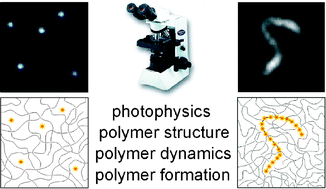 Graphical abstract: Polymers and single molecule fluorescence spectroscopy, what can we learn?
