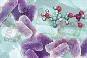 Graphical abstract: Recent advances in biomimetic natural product synthesis