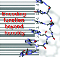 Graphical abstract: Nucleic acid encoding to program self-assembly in chemical biology