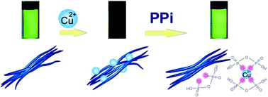 Graphical abstract: A conjugated polyelectrolyte-based fluorescence sensor for pyrophosphate
