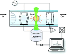 Graphical abstract: Bead-based immunoassays using a micro-chip flow cytometer