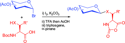 Graphical abstract: Improved synthesis of O-linked, and first synthesis of S- linked, carbohydrate functionalised N-carboxyanhydrides (glycoNCAs)
