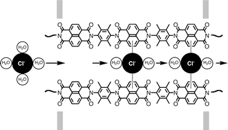 Graphical abstract: Rigid-rod anion–π slides for multiion hopping across lipid bilayers