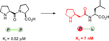 Graphical abstract: β-Amino acid-containing hybrid peptides—new opportunities in peptidomimetics