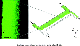 Graphical abstract: Interfacial instabilities affect microfluidic extraction of small molecules from non-Newtonian fluids