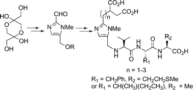 Graphical abstract: Synthesis and biological evaluation of potential bisubstrate inhibitors of protein farnesyltransferase. Design and synthesis of functionalized imidazoles