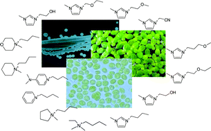 Graphical abstract: Effects of different head groups and functionalised side chains on the aquatic toxicity of ionic liquids