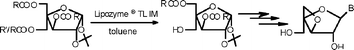 Graphical abstract: Selective biocatalytic deacylation studies on furanose triesters: a novel and efficient approach towards bicyclonucleosides