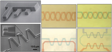 Graphical abstract: Fabrication of complex multilevel microchannels in PDMS by using three-dimensional photoresist masters