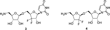 Graphical abstract: Synthesis of gem-difluorinated nucleoside analogues of the liposidomycins and evaluation as MraY inhibitors