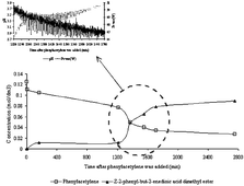 Graphical abstract: The influence of oscillations on product selectivity during the palladium-catalysed phenylacetylene oxidative carbonylation reaction