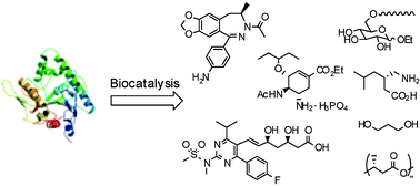 Graphical abstract: Recent applications of biocatalysis in developing green chemistry for chemical synthesis at the industrial scale