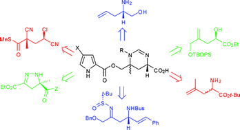 Graphical abstract: Syntheses of manzacidins: a stage for the demonstration of synthetic methodologies