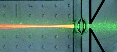 Graphical abstract: Dynamically reconfigurable liquid-core liquid-cladding lens in a microfluidic channel