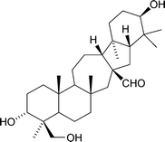 Graphical abstract: Triterpenoids