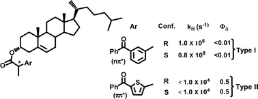 Graphical abstract: Cholesterol–diaryl ketone stereoisomeric dyads as models for “clean” type I and type II photooxygenation mechanisms