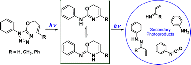 Graphical abstract: Photochemistry of 5-allyloxy-tetrazoles: steady-state and laser flash photolysis study