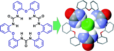 Graphical abstract: Cyclic triureas—synthesis, crystal structures and properties