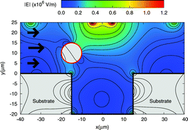Graphical abstract: Numerical design of electrical-mechanical traps
