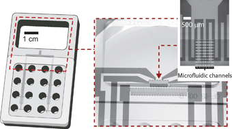 Graphical abstract: On-chip fabrication to add temperature control to a microfluidic solution exchange system
